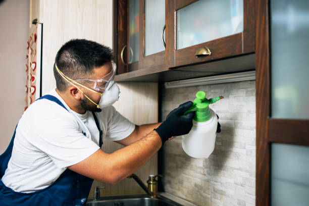 Best Exterminator Services  in Black Diamond, WA