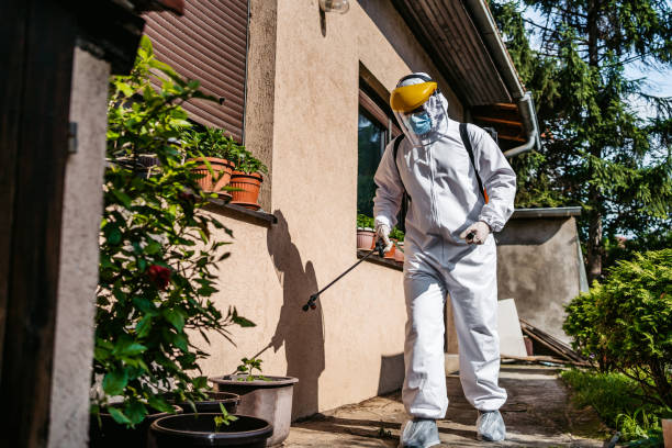 Best Affordable Pest Control Services  in Black Diamond, WA