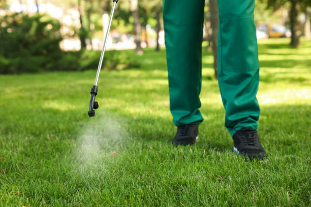 Best Commercial Pest Control Services  in Black Diamond, WA