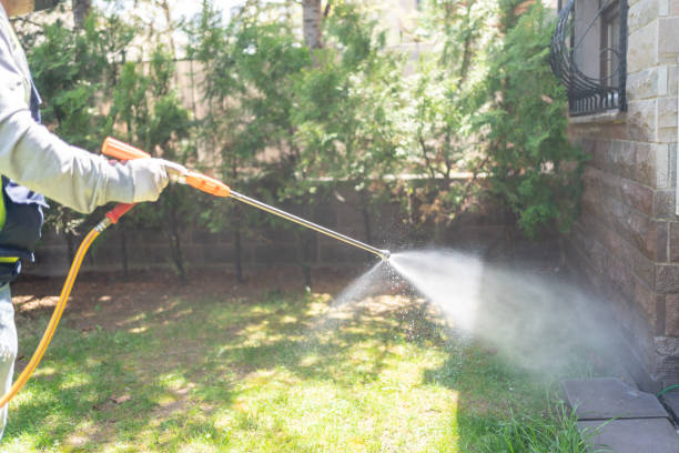 Best Bed Bug Extermination  in Black Diamond, WA